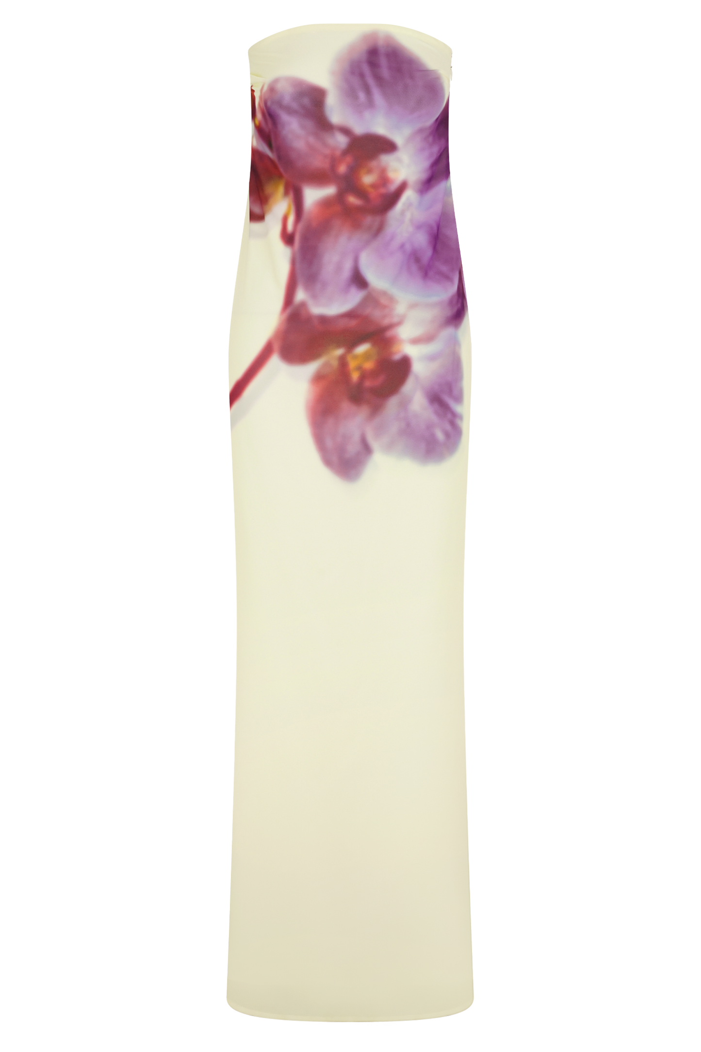 Amaya Strapless Chiffon Maxi Dress