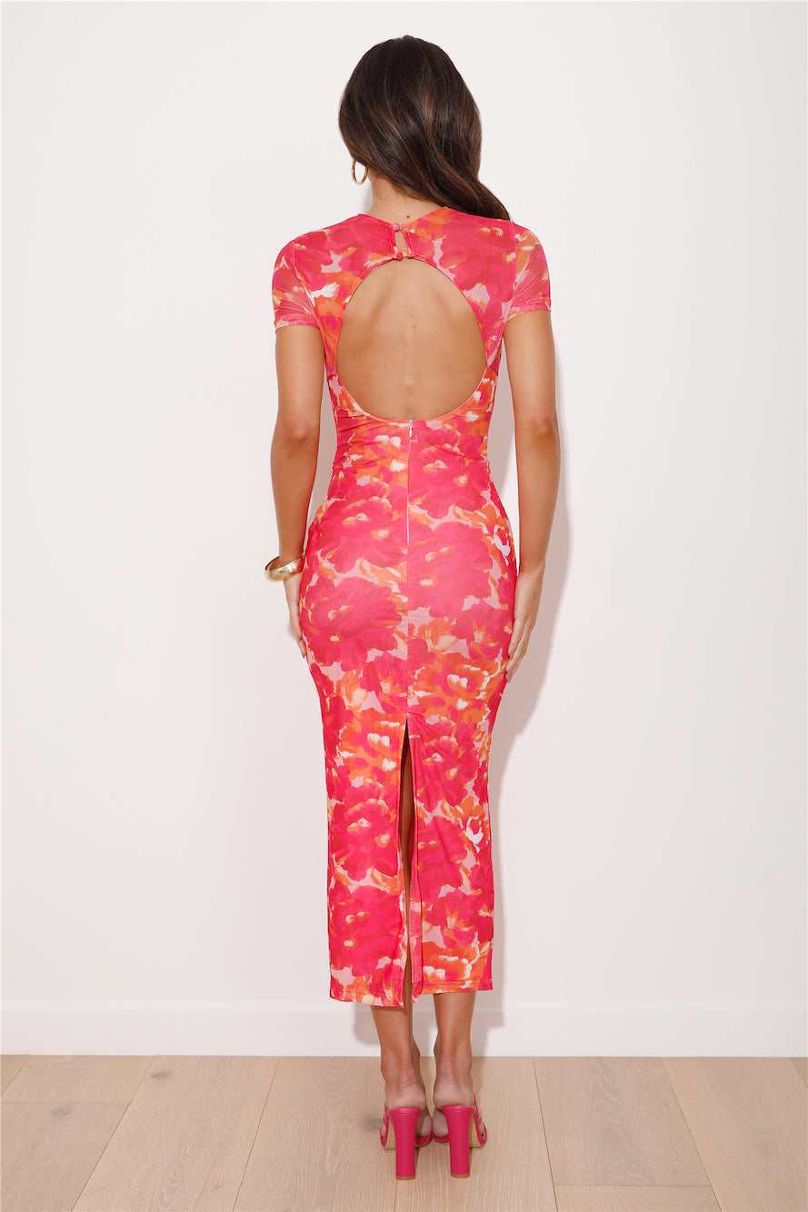 Luminique Mesh Maxi Dress in Blush