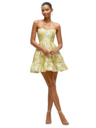 Marisol Mini Dress