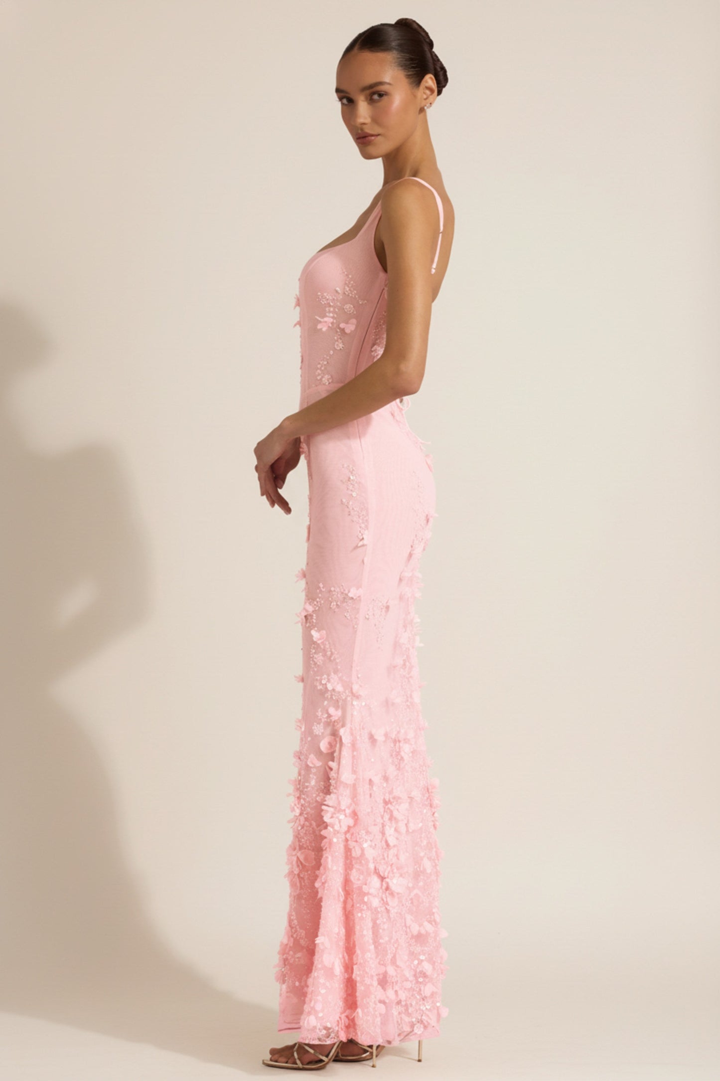 Celestine Appliqué Corset Gown in Blush