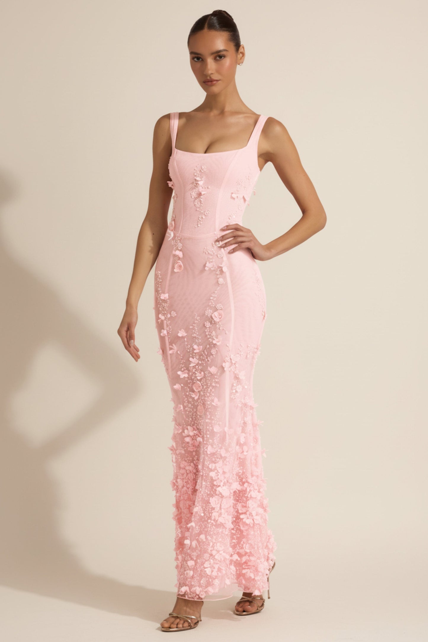 Celestine Appliqué Corset Gown in Blush