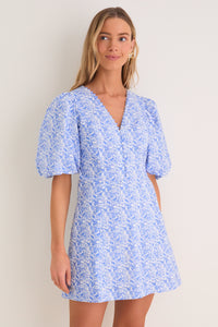 Baby Blue Ditsy Floral