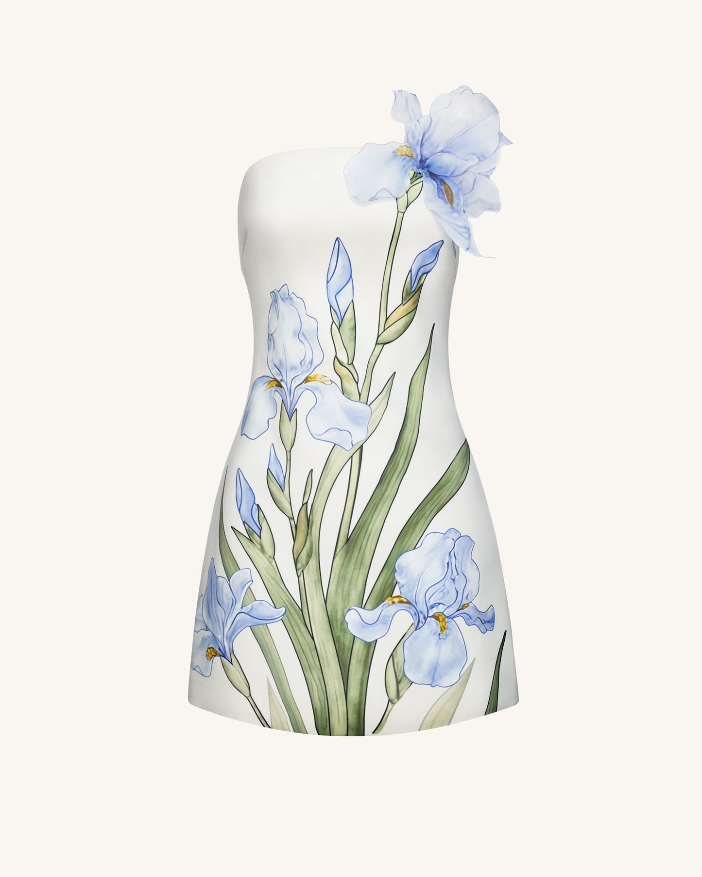 Colette Floral Mini Dress