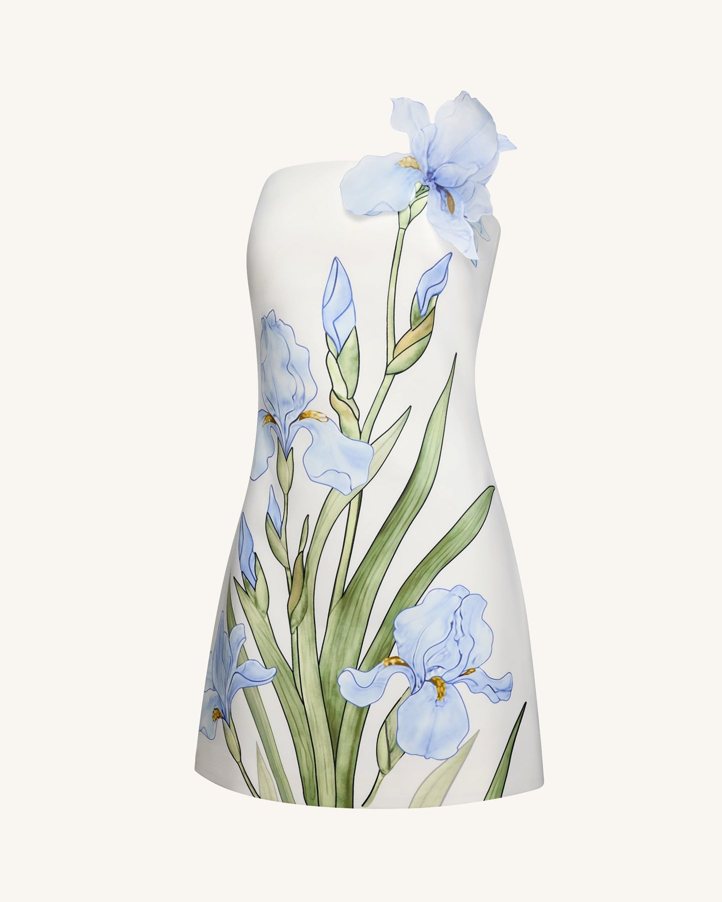 Colette Floral Mini Dress