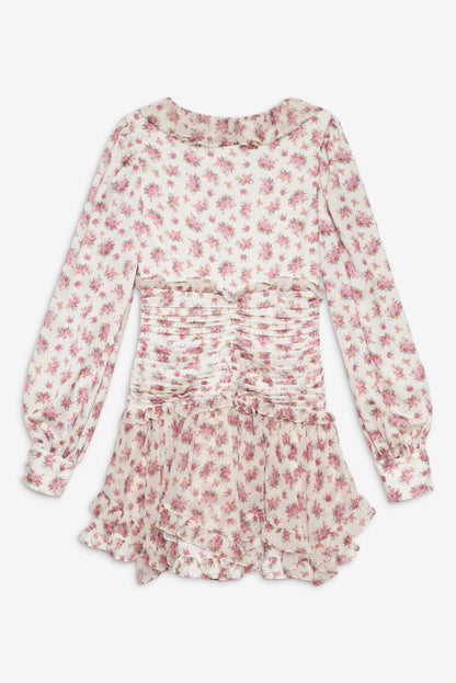 Jayleen Silk Mini Dress in Blush