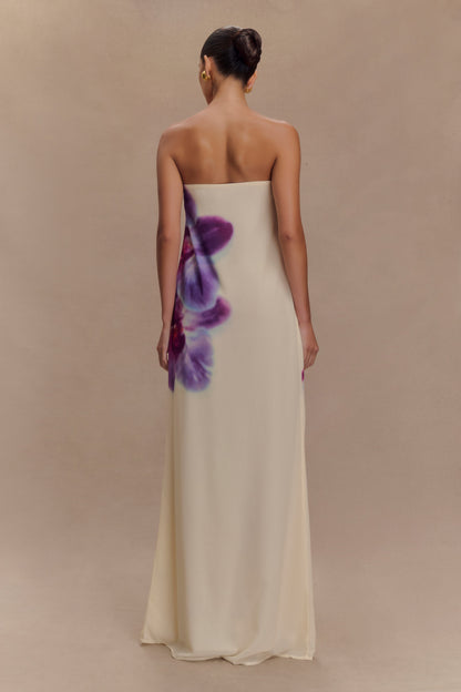 Amaya Strapless Chiffon Maxi Dress