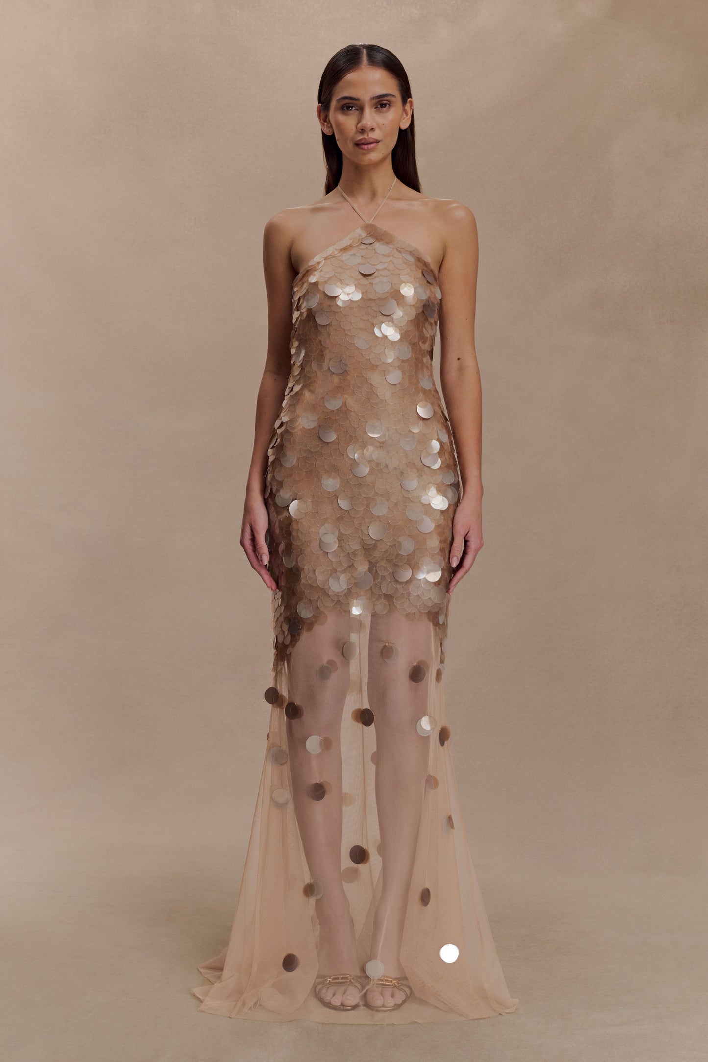Jenny Hand-Embellished Gold Maxi Dress