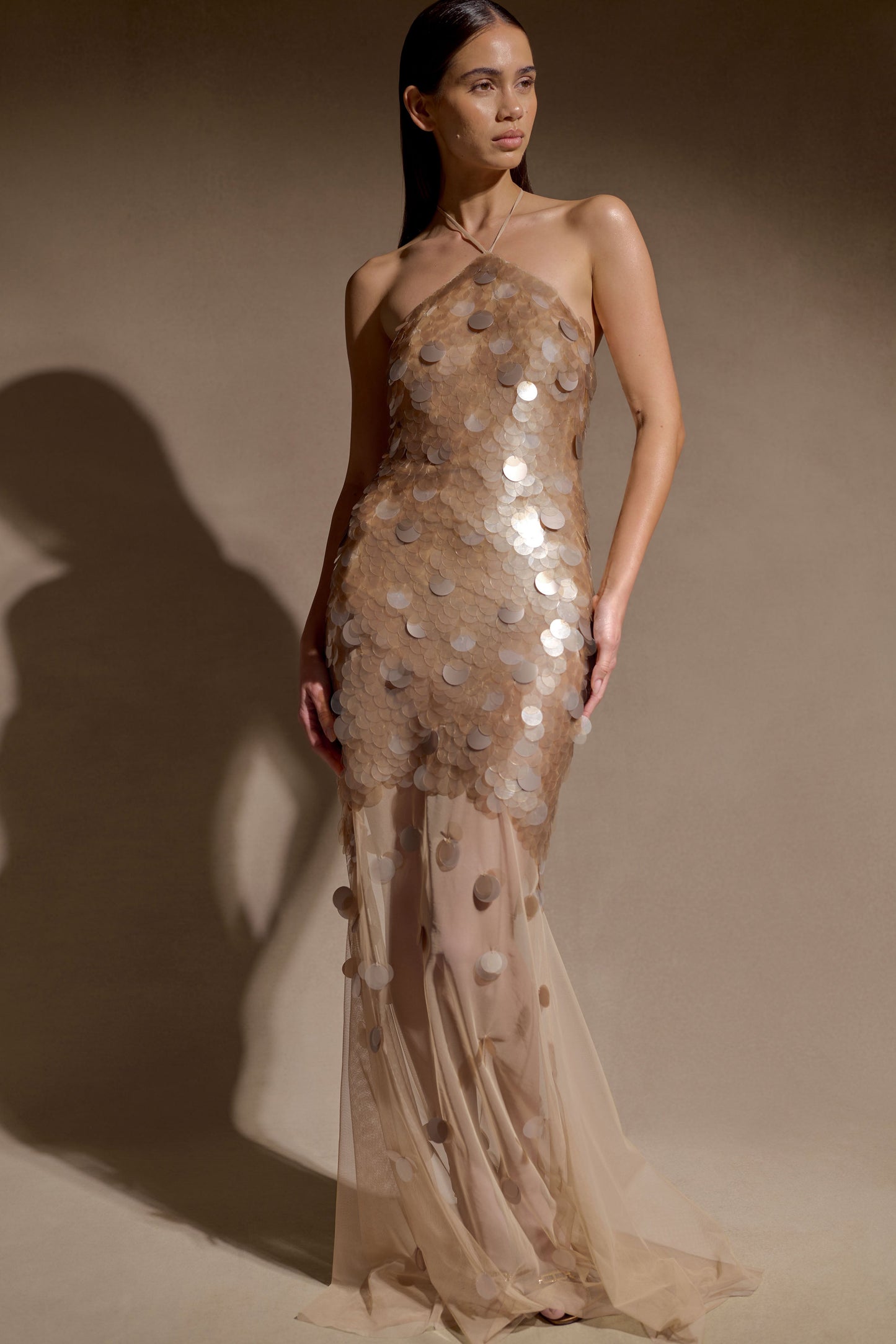 Jenny Hand-Embellished Gold Maxi Dress