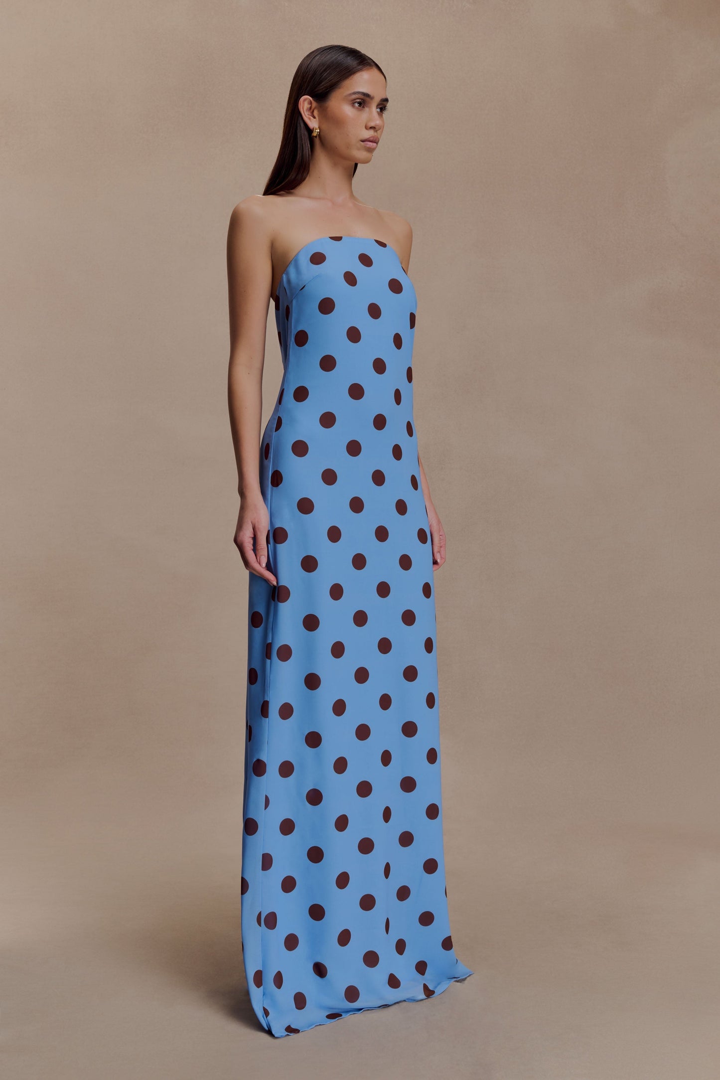 Amaya Strapless Chiffon Maxi Dress