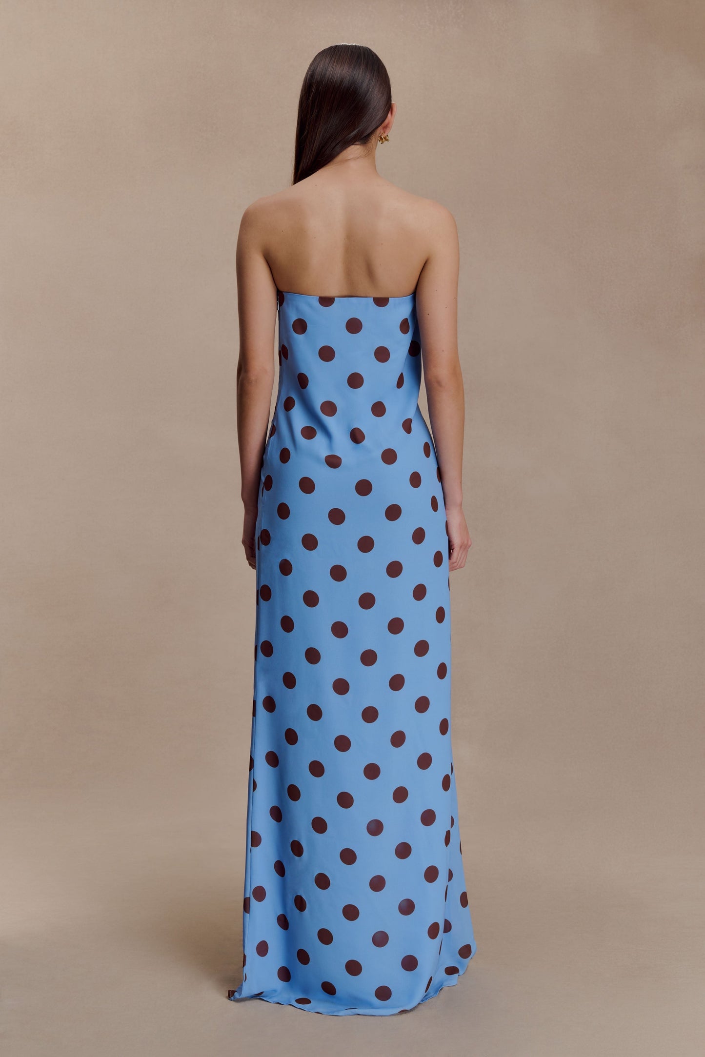 Amaya Strapless Chiffon Maxi Dress