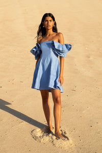 OYSTER BLUE