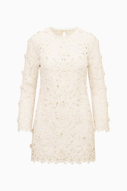 Caletta Floral Embroidered Lace Mini Dress