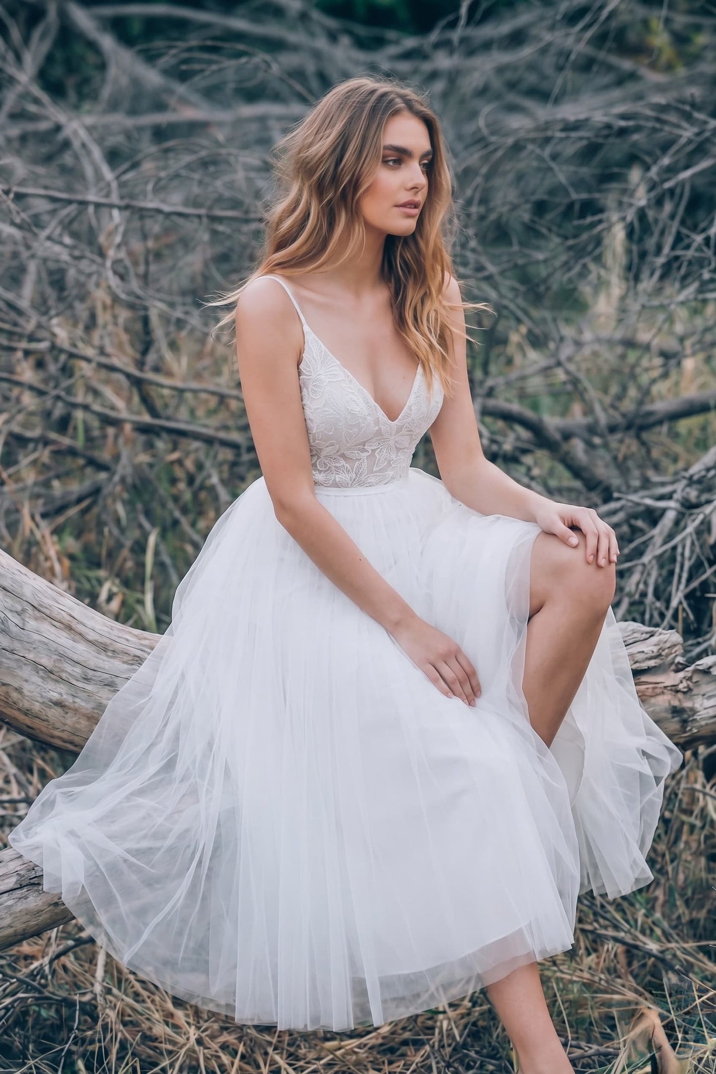 Celeste Lace Tulle A-Line Dress