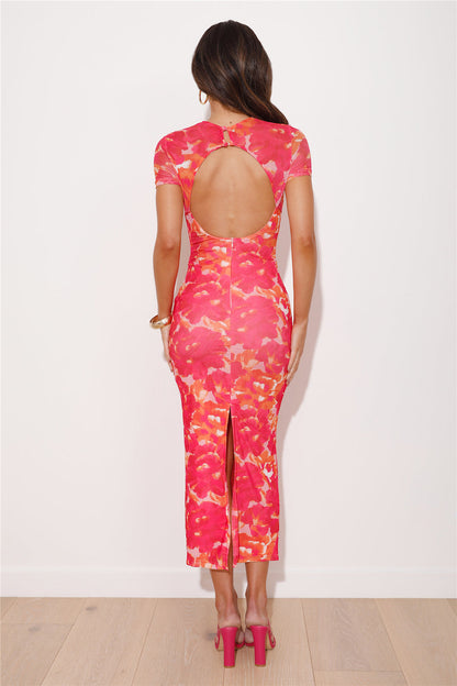 Luminique Mesh Maxi Dress in Blush