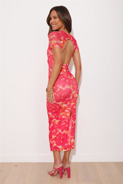 Luminique Mesh Maxi Dress in Blush