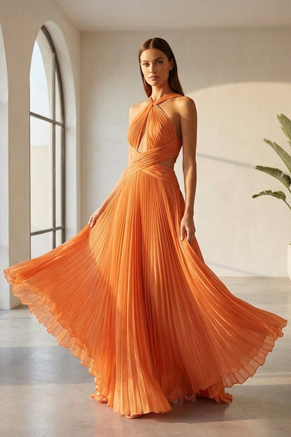 Arabella Chiffon Backless Maxi Dress