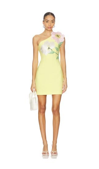 Laurel Mini Dress