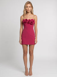 Fuchsia