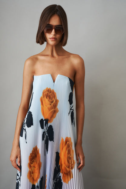 Brielle Maxi Dress