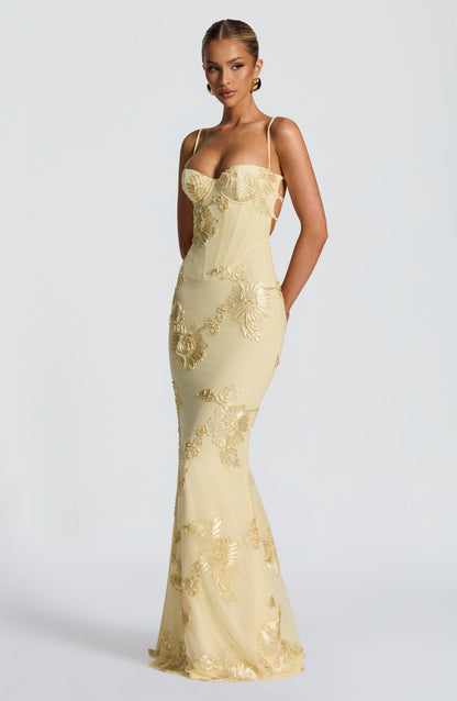 Nefertiti Plum Silk Maxi Dress