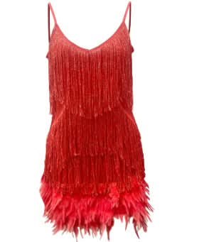 Alya Feather Mini Dress