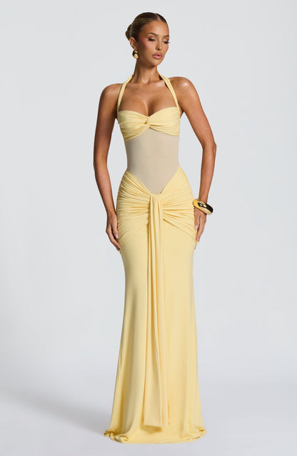 VIXEN MAXI DRESS