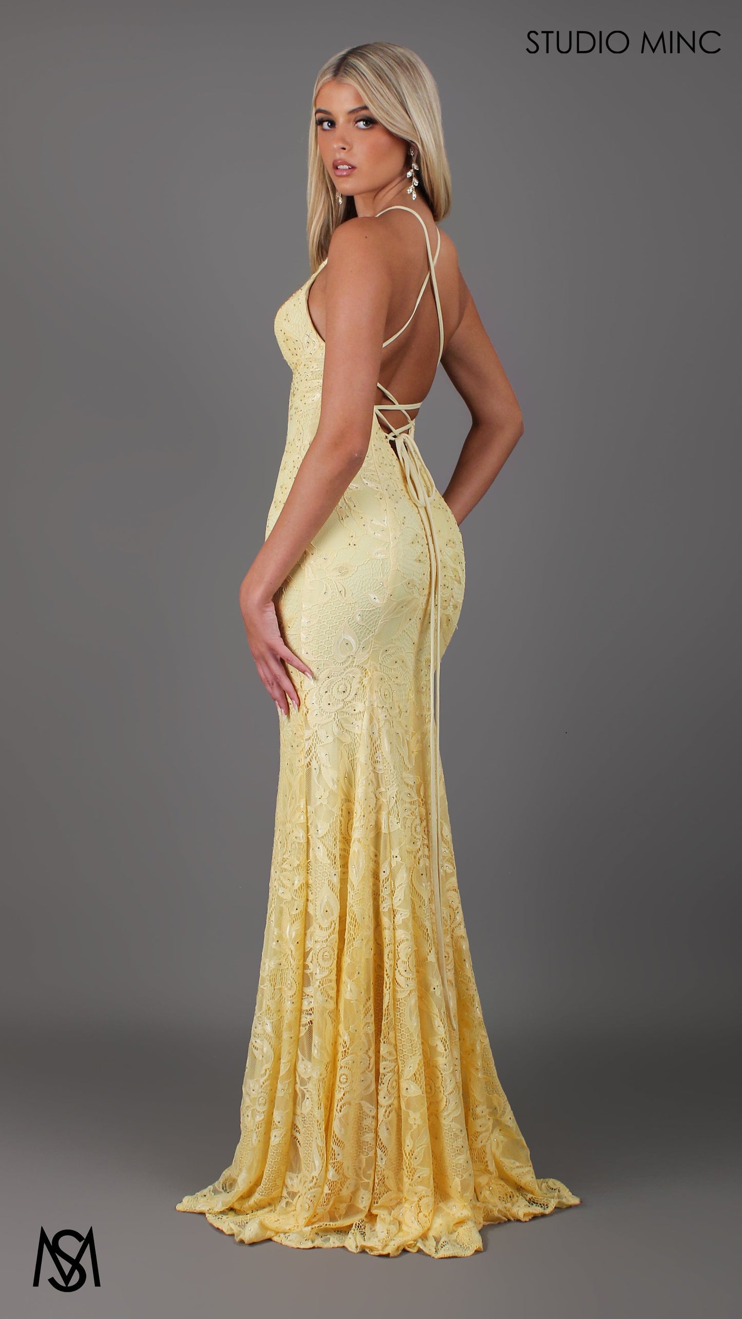 Jasmine Lace Mermaid Dress